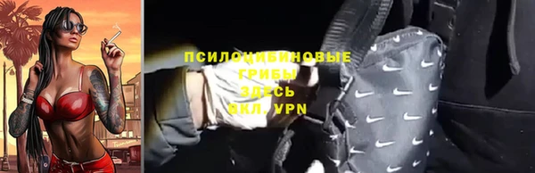 гашик Алексеевка