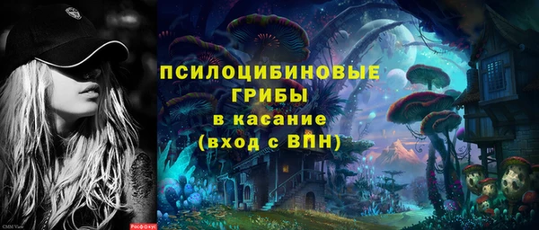 гашик Алексеевка