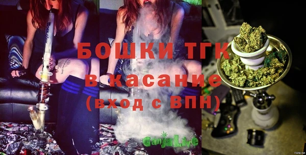 гашик Алексеевка